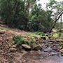 Otford Farm - The Pines Paddock with Jungle Gully