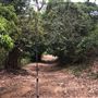 Otford Farm - The Pines Paddock with Jungle Gully