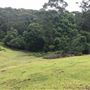 Otford Farm - The Pines Paddock with Jungle Gully