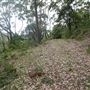 Otford Farm - 40 Acres Paddock