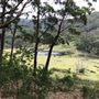 Otford Farm - 40 Acres Paddock