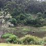 Otford Farm - 40 Acres Paddock