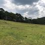 Otford Farm - 40 Acres Paddock