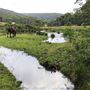 Otford Farm - 40 Acres Paddock