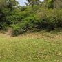Otford Farm - 40 Acres Paddock