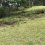 Otford Farm - 40 Acres Paddock