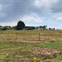 Otford Farm - Crazy T Farm