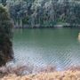 Greater Sydney Local Land Services Demonstration Farm