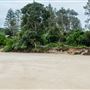 Trial Bay Gaol Campground & Front Beach - Arakoon National Park