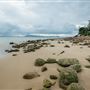 Trial Bay Gaol Campground & Front Beach - Arakoon National Park