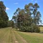 Set Build Sites - Sydney International Regatta Centre