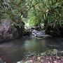 Hidden Creek
