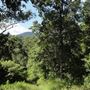 Hidden Creek