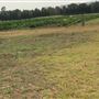 Greater Sydney Local Land Services Demonstration Farm