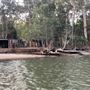 Brunswick River
