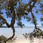 Tiona Holiday Park