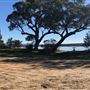 Swan Lake - Swanhaven