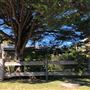 Private House Styles - Berrara