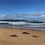 Swan Lake Inlet - Cudmirrah Beach