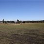 Bungarribee Park  - Western Sydney Parklands