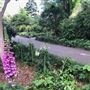 Royal Botanic Garden Sydney