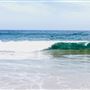 Bilgola Beach