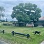 Tobruk Sheep Station - Shearing Shed & Event Venue