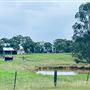 Tobruk Sheep Station - Shearing Shed & Event Venue