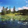 North Byron Parklands