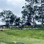 PITT TOWN