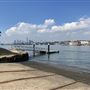 Clarkes Point Reserve