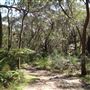 Darkes Forest Ranch