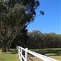 Darkes Forest Ranch