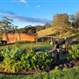 Stella Vista Farm