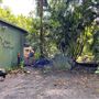 The Rainforest Shed