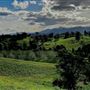 Bellbowra Farm