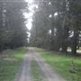 Private House - Bombala