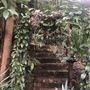 Private House - Hidden Retreat