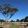 Darkes Forest Ranch