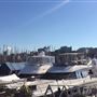 Rushcutters Bay Park