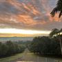 Halt Hill Macadamia Farm