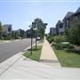 Suburban Houses - Newington
