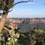 Blue Mountains