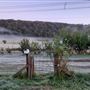Gnallwarra (just outside Lithgow)