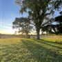 Cloverdale