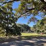 Rushcutters Bay Park