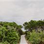 Sugar Beach Ranch