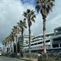 Bondi Beach