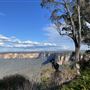 Allview Escape at Blackheath