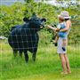 Mt Warning Estate